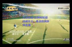 九游体育:比利时队迎战威尔士，备战欧洲杯预选赛