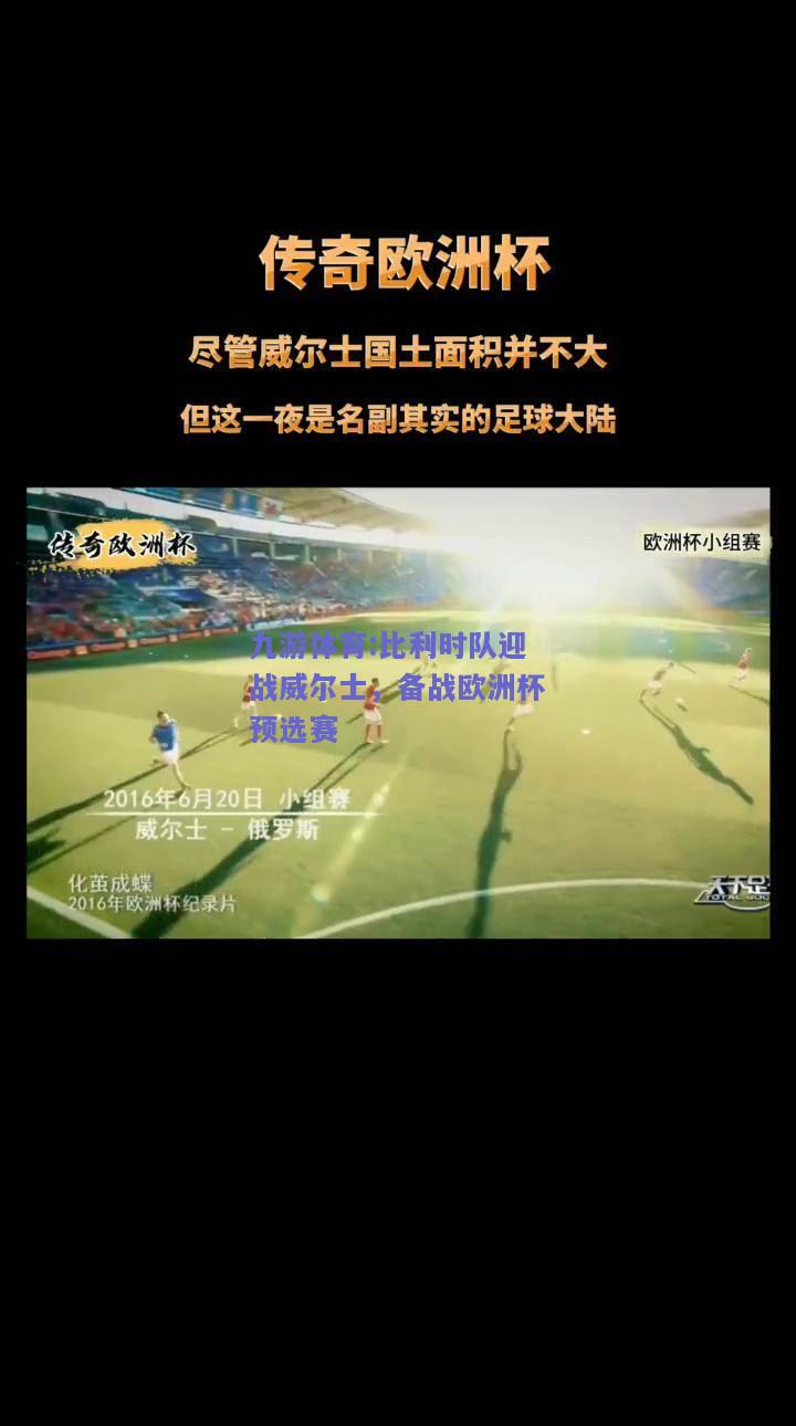 比利时队迎战威尔士，备战欧洲杯预选赛