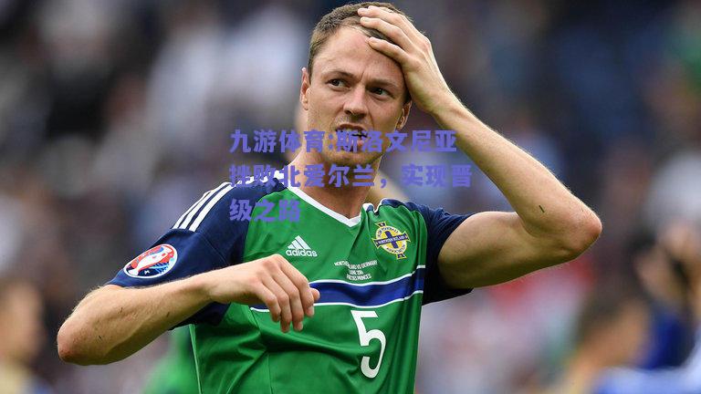 斯洛文尼亚挫败北爱尔兰，实现晋级之路